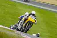 Middle 2 Group Yellow Bikes